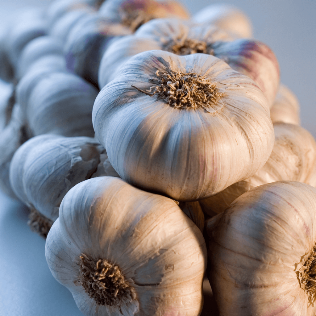 Garlic for Group B Strep prevention
